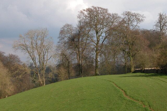 Bridleway near Quenington. Bridleway above the Coln valley near Quenington, beyond the trees the path descends to the village of Coln St Aldwyn.
