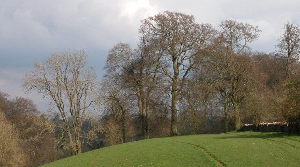 Bridleway near Quenington. Bridleway above the Coln valley near Quenington, beyond the trees the path descends to the village of Coln St Aldwyn.