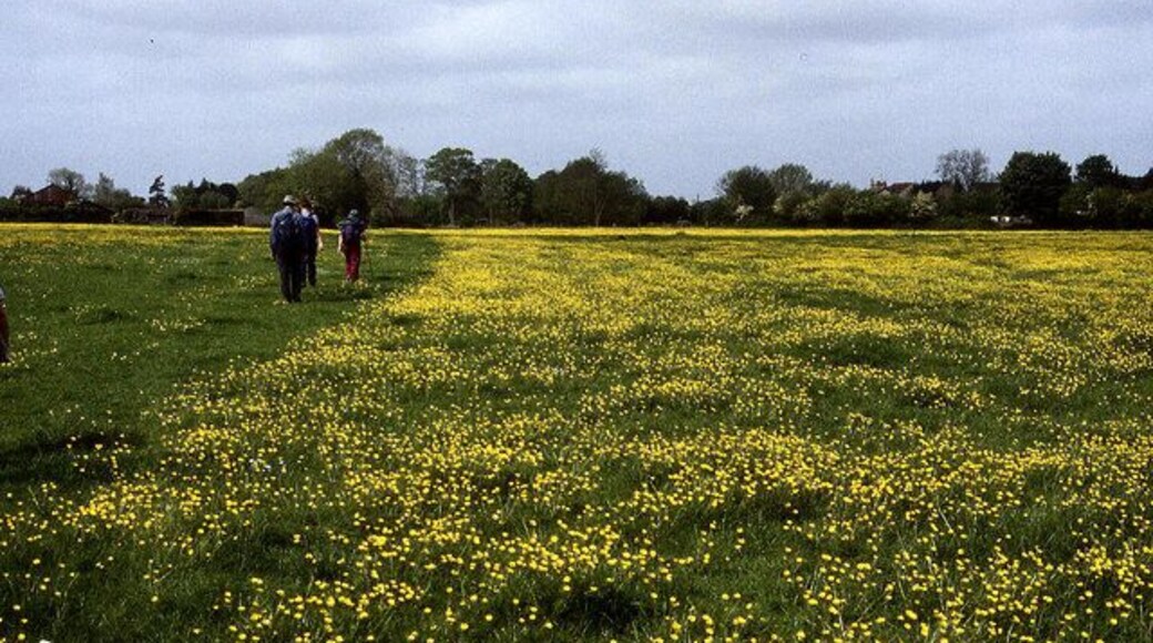 Leland Trail near Queen Camel Following the trail westwards through meadows towards West Camel