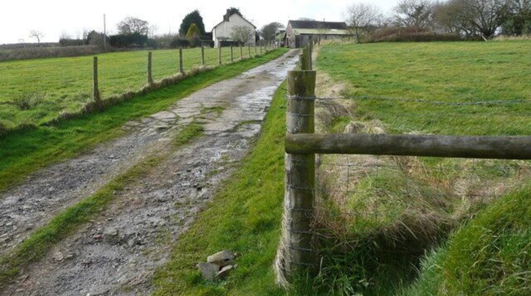 Track to Tinney Moor Farm Pasture land predominates around here.
