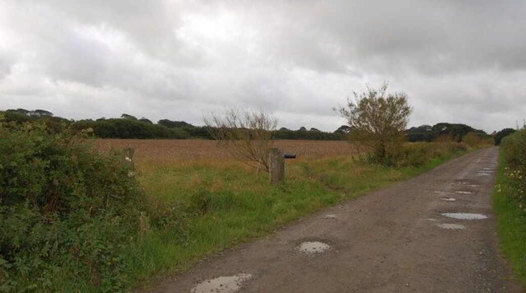 Driveway to Bradford Manor