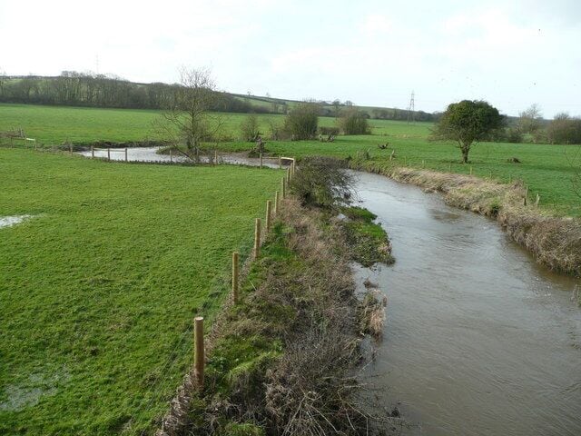 River Tamar from Crowford Bridge View upstream in the lush meadows of the upper section of the river. Cornwall to the left, Devon to the right.