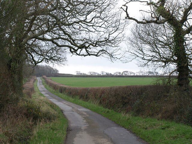 Lane from Dualstone Cross The lane climbs the slopes of the Derrill Water valley on its way to North Tamerton.