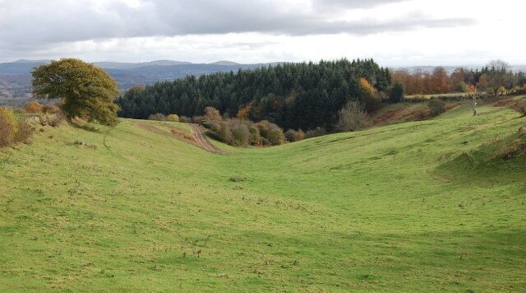 Valley near Hill Farm Towards Putley