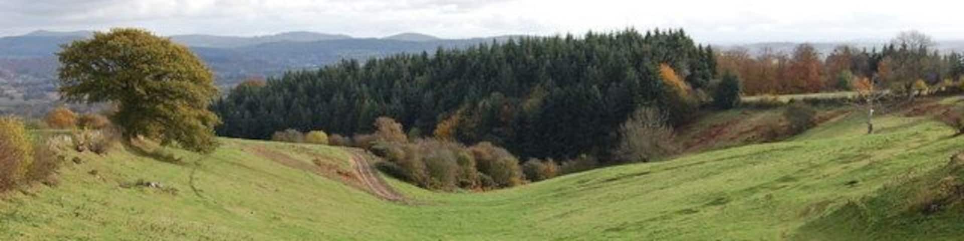 Valley near Hill Farm Towards Putley