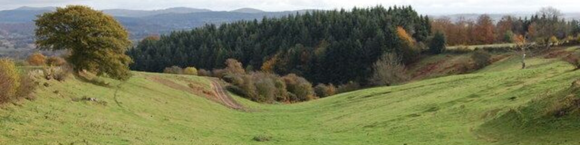 Valley near Hill Farm Towards Putley