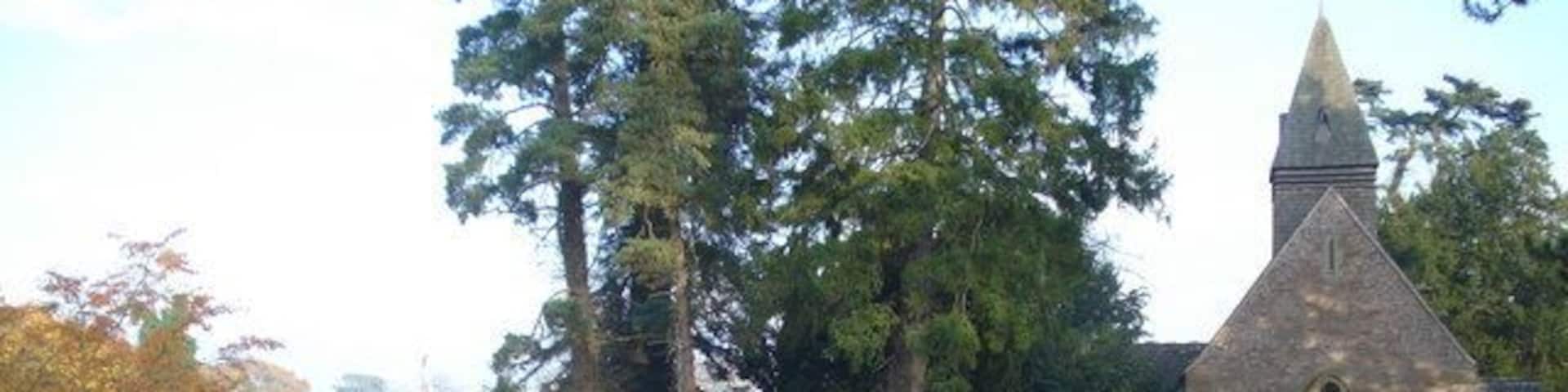 Putley Church in autumn Looking eastwards from the car park.