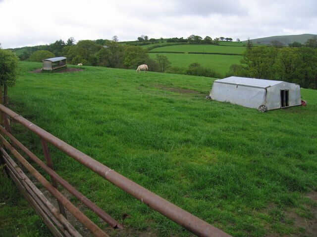 Odd vehicle The field contained sheep. I'm not sure what the wheeled thing is in the right foreground, and the wheels seem to have fallen off.