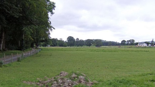Glanranell Park These are the fields by the drive into the hotel of this name south of Crugybar.