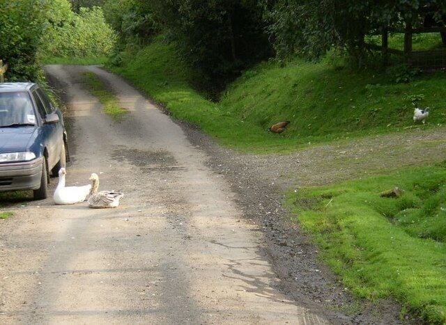 A rural road with a car parked on the side.