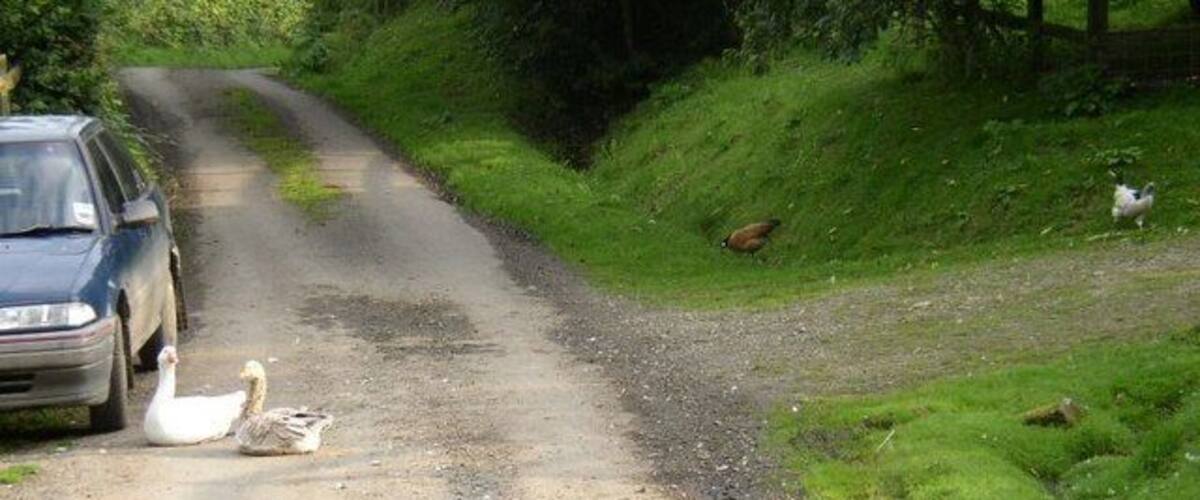 A rural road with a car parked on the side.