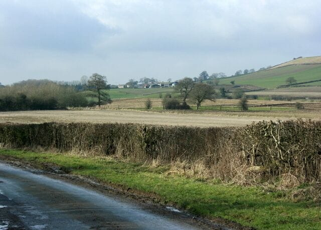 Farmland west of Priston A smart hedgerow, neatly trimmed. The local council takes care of hedge trimming from the road side and the farmer does the field side. Unless other arrangements are made. The lane goes from Priston to Farmborough.