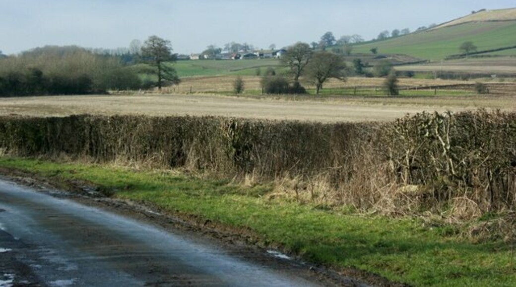 Farmland west of Priston A smart hedgerow, neatly trimmed. The local council takes care of hedge trimming from the road side and the farmer does the field side. Unless other arrangements are made. The lane goes from Priston to Farmborough.
