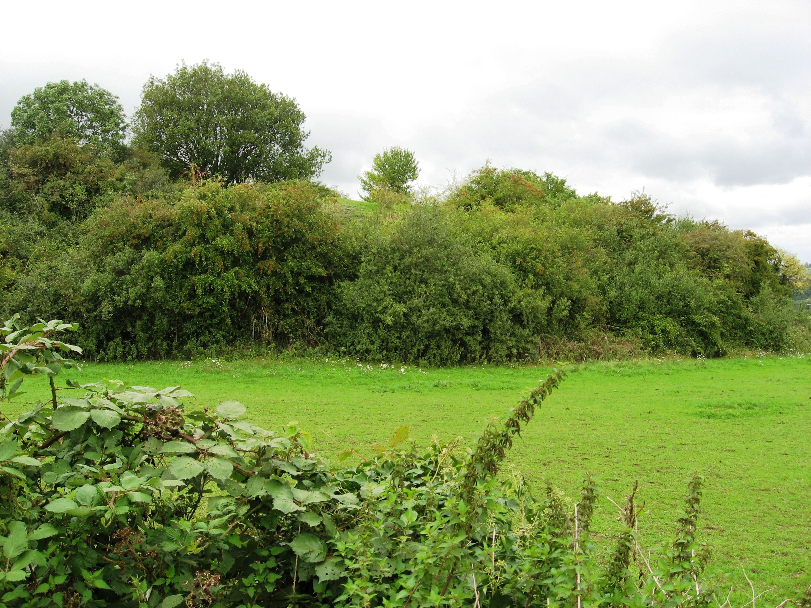 Tunley Pit Spoil Heap.