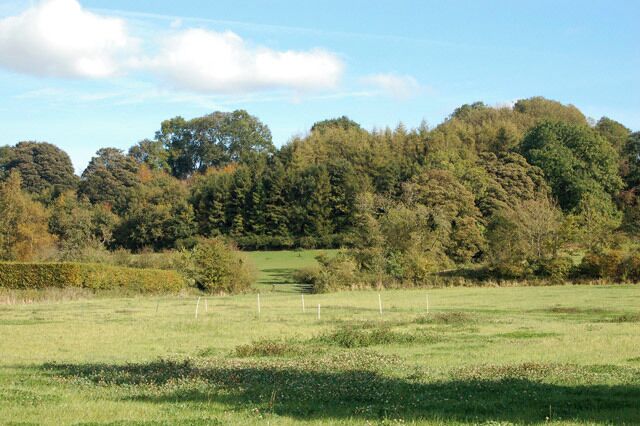 Slope of Marston Hill from the footpath near Priory Farm