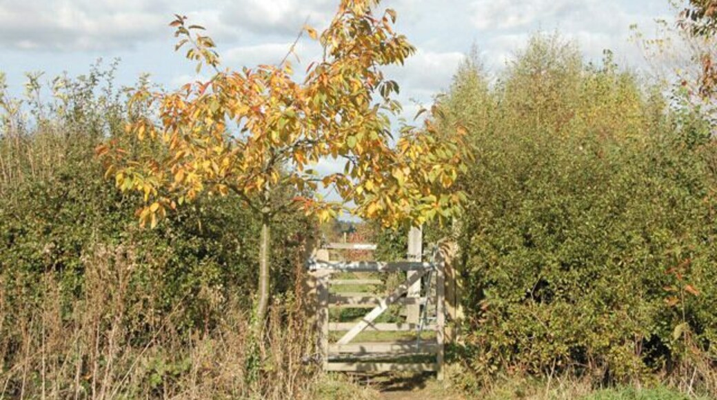 Footpath crossing the drive to Priory Farm