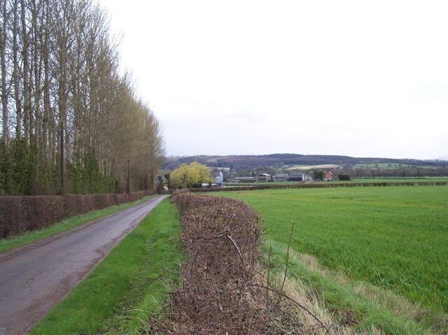 Monkton Farm Viewed from quite a distance back to include the trees lining the field.