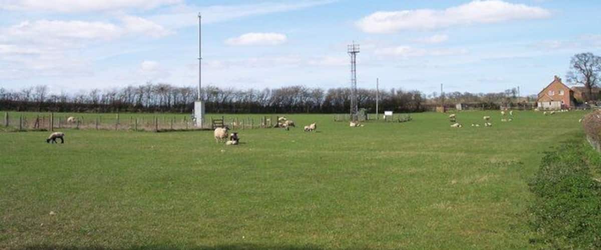 A grassy field with sheep, a tall communication tower, and a red building in the distance.