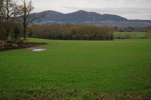 Winter cereals at Bowlng Green The Worcestershire Beacon and North Hill, two of the Malvern Hills can be seen in the background.