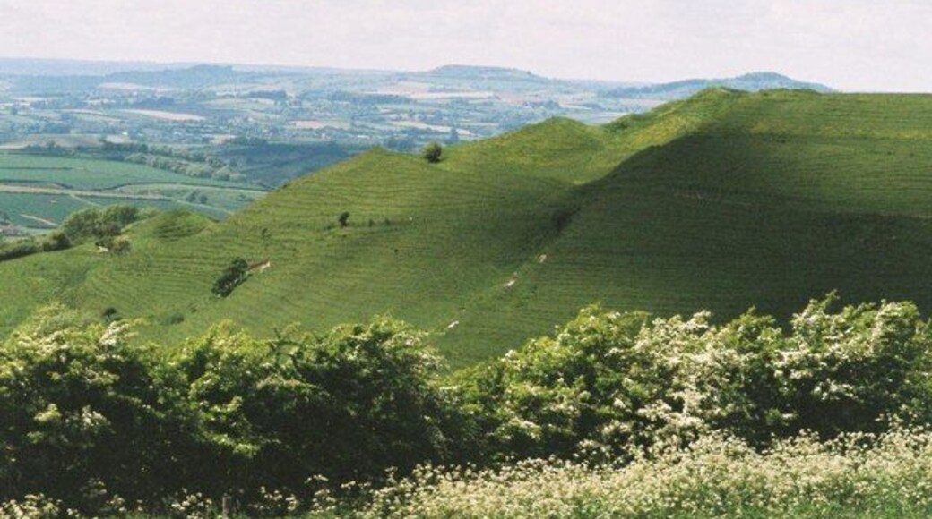 Hillfort slopes and broad view From the top of Eggardon Hill, looking out across the slopes of Eggardon hillfort to the west Dorset countryside.