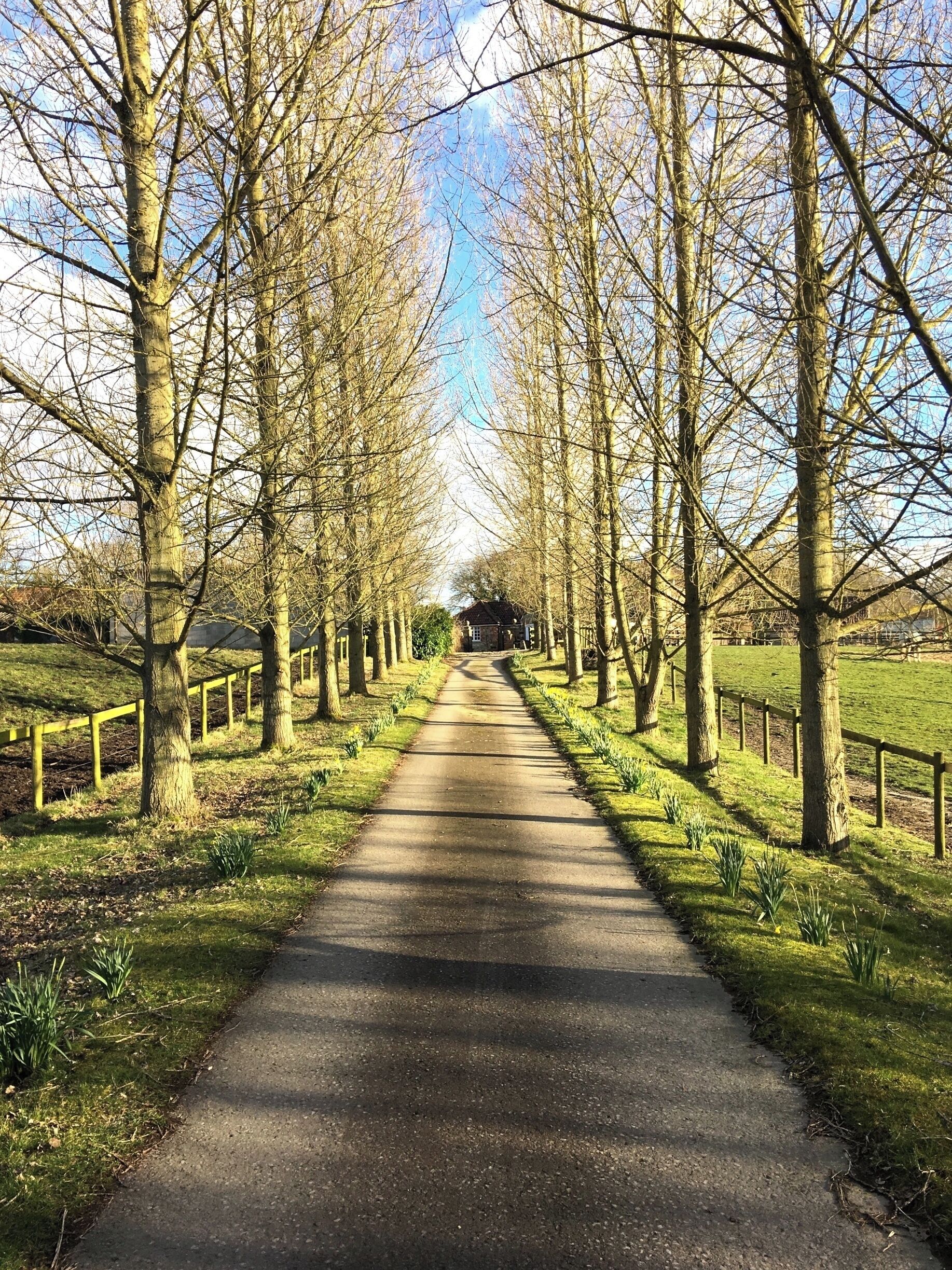 Potterne, Nr. Devizes, Wiltshire, England - On a not so leafy lane.  