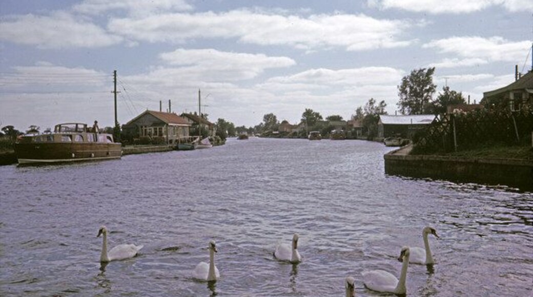 River Thurne at Potter Heigham, Norfolk taken 1964 Looking south along the River Thurne. http://www.broadsnet.co.uk/html/potter.htm