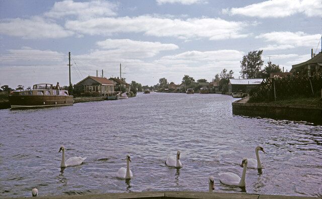 A calm river with swans swimming, a boat docked on the left, and houses along the riverbank.