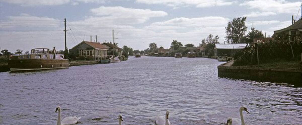 A calm river with swans swimming, a boat docked on the left, and houses along the riverbank.