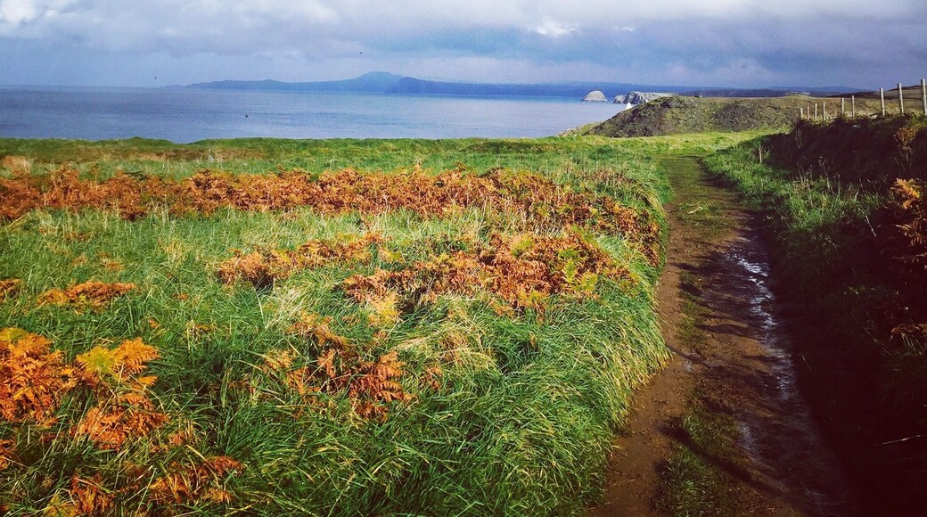 Stunning views Abereiddy to Porthgain Pembrokeshire