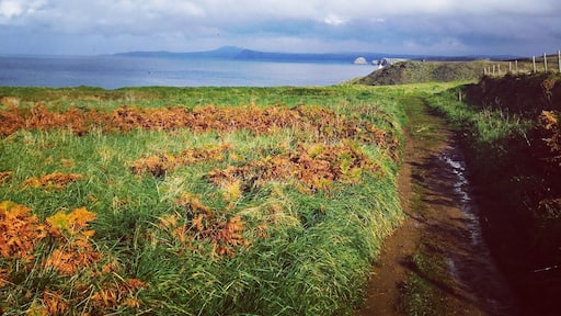Stunning views Abereiddy to Porthgain Pembrokeshire