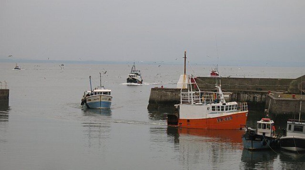 Busy afternoon, Port Seton Six boats arriving at once, almost like the old days. The Port Seton boats usually land their catch at Eyemouth.