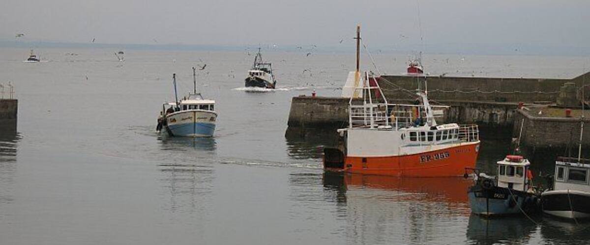 Busy afternoon, Port Seton Six boats arriving at once, almost like the old days. The Port Seton boats usually land their catch at Eyemouth.