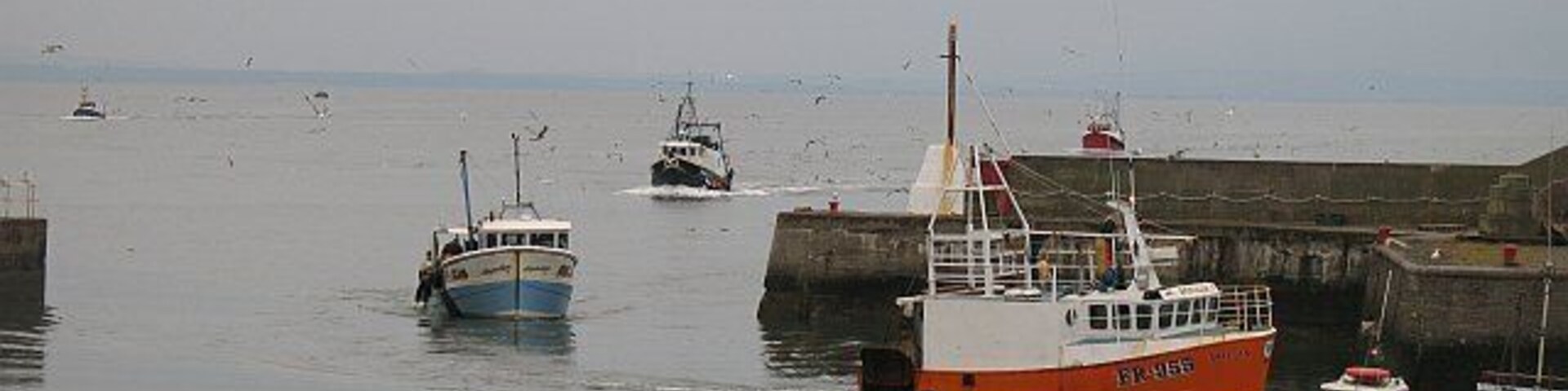 Busy afternoon, Port Seton Six boats arriving at once, almost like the old days. The Port Seton boats usually land their catch at Eyemouth.