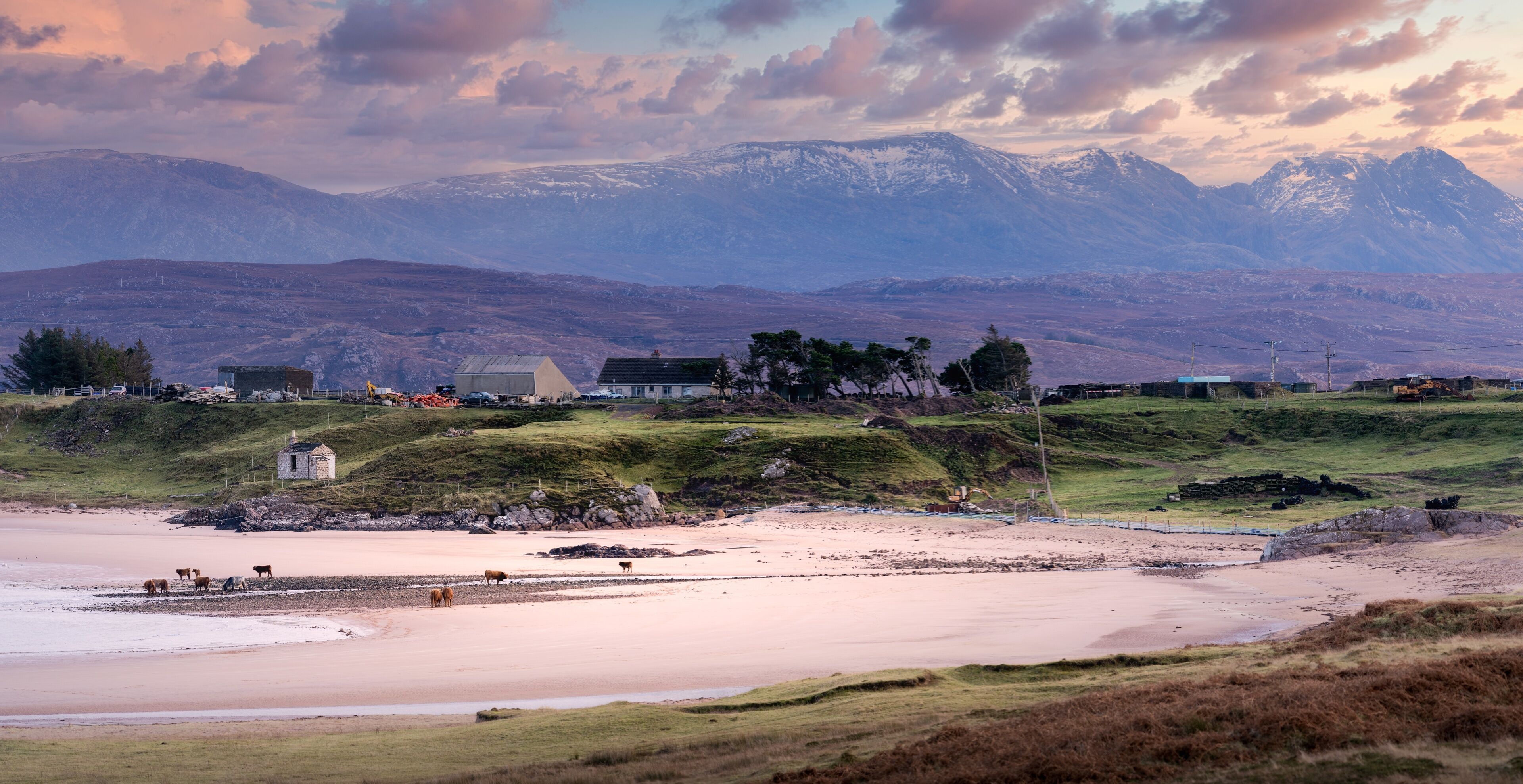 A coastal landscape with a beach, grazing cattle, houses, and snow-capped mountains in the background.
