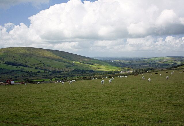 Pasture at Lodor Fach Beyond is the Anghof valley: the manorial farm of Morfil is in the middle distance, and Mynydd Cas-fuwch (Castlebythe Mountain) is on the left.