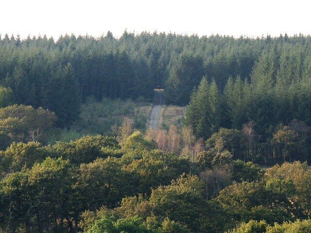 Blean-egel Wood This wood near the Egel river seems to have an unmapped forestry road. The photo is taken from the public right of way on the other side of the river.