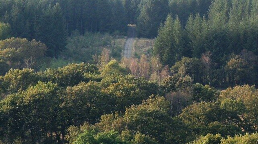 Blean-egel Wood This wood near the Egel river seems to have an unmapped forestry road. The photo is taken from the public right of way on the other side of the river.