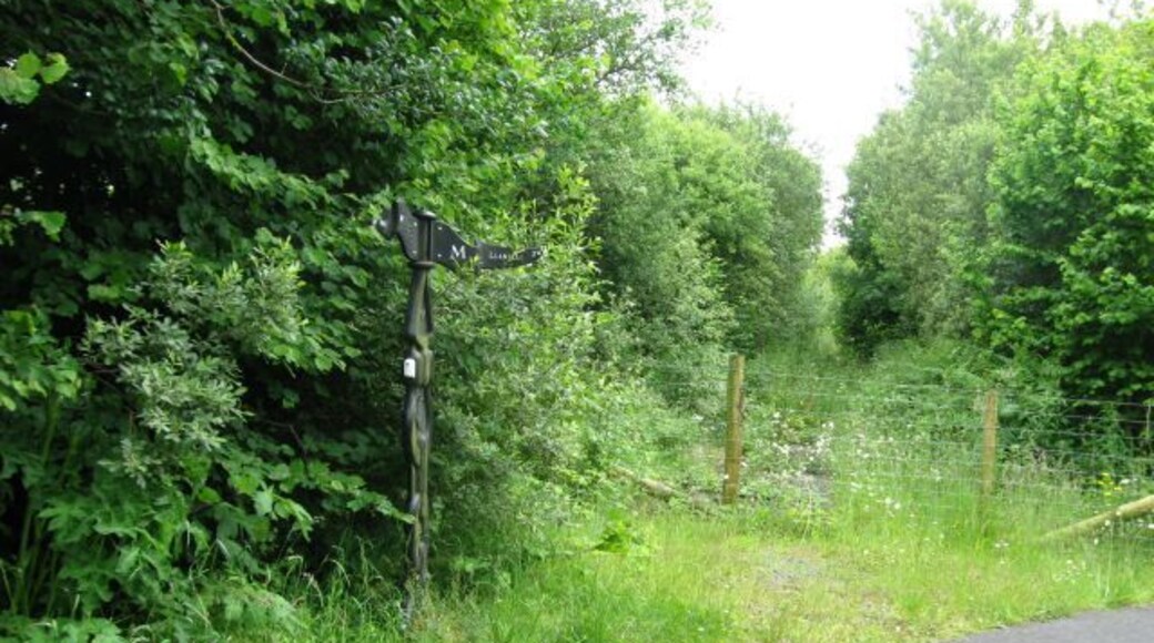 Millennium Milepost on route 47. This is the middle of three Millennium Mileposts in quick succession: 677925 is two miles south, and 255491 four miles north. It is a Rowe type, and nearly the twin of the southern one: apart from the change in mileage this one has the statement about Bank of Scotland sponsorship in Welsh, the other in English.
