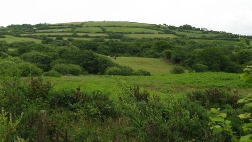 West side of Myrtle Hill The house on the right is Ty-mawr