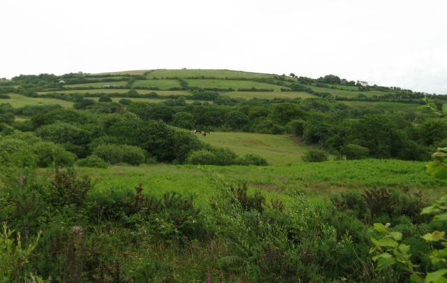 Rolling green hills with dense vegetation and a few scattered trees.