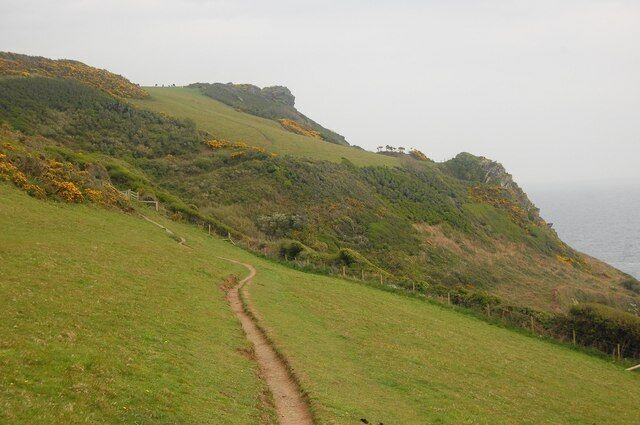 Una ladera cubierta de hierba con un sendero de tierra que se dirige hacia el océano.