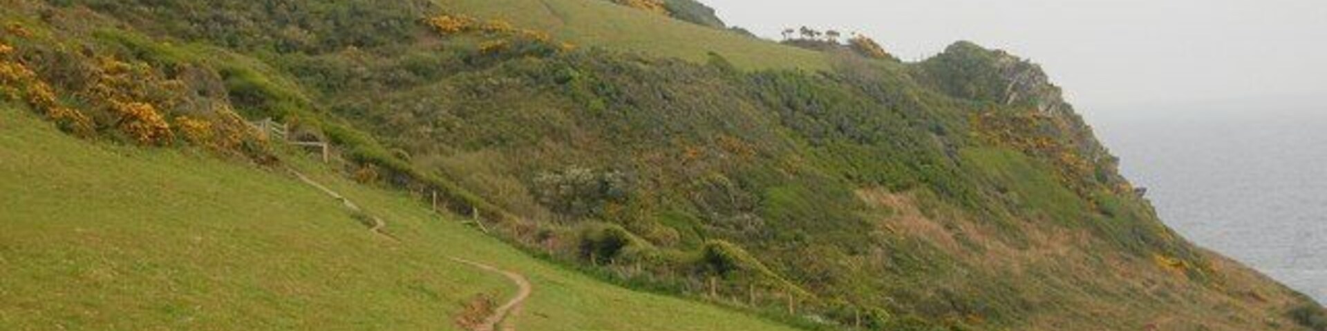 Una ladera cubierta de hierba con un sendero de tierra que se dirige hacia el océano.