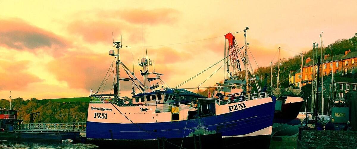 This evenings viewđ