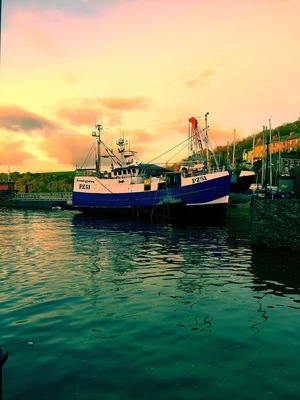 This evenings viewđ