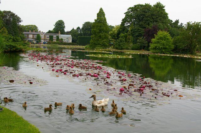 Burnby Hall and Lake, Pocklington, East Riding of Yorkshire, England.
