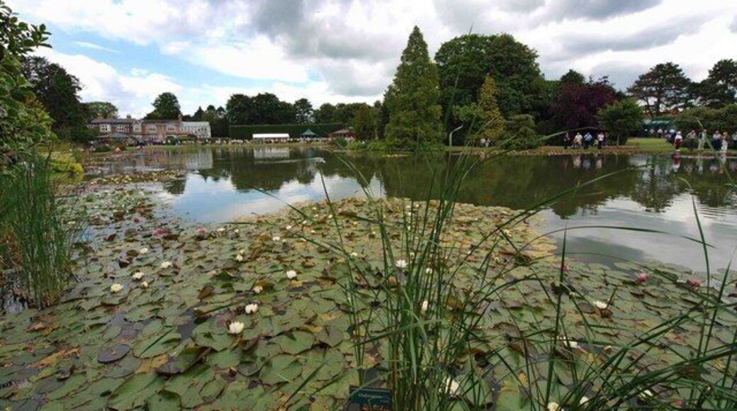 Burnby Hall Gardens lake The Balk, Pocklington, East Riding of Yorkshire, England, YO42 2QF. The lake has more than 80 lily cultivars and houses the National Collection of water lilies. Looking towards the bandstand and café.