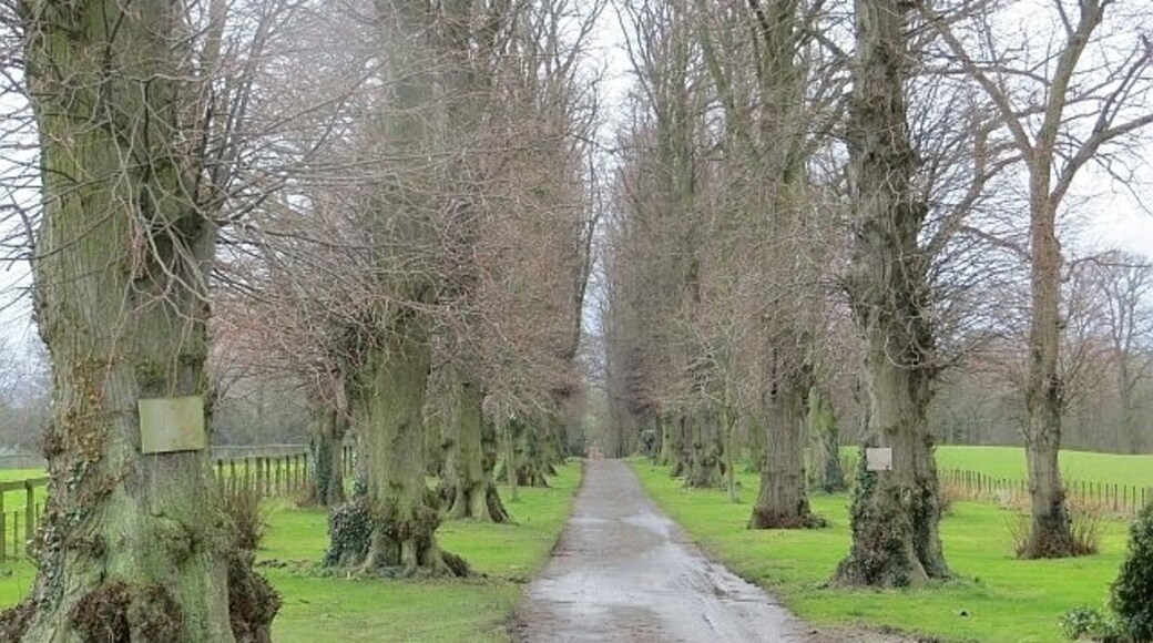Driveway, Pitchford Hall