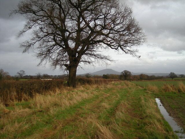 'Right of Way' past Cantlop Wood.