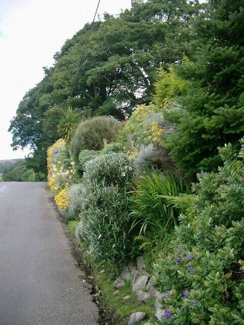 Roadside garden at Whitefarland.