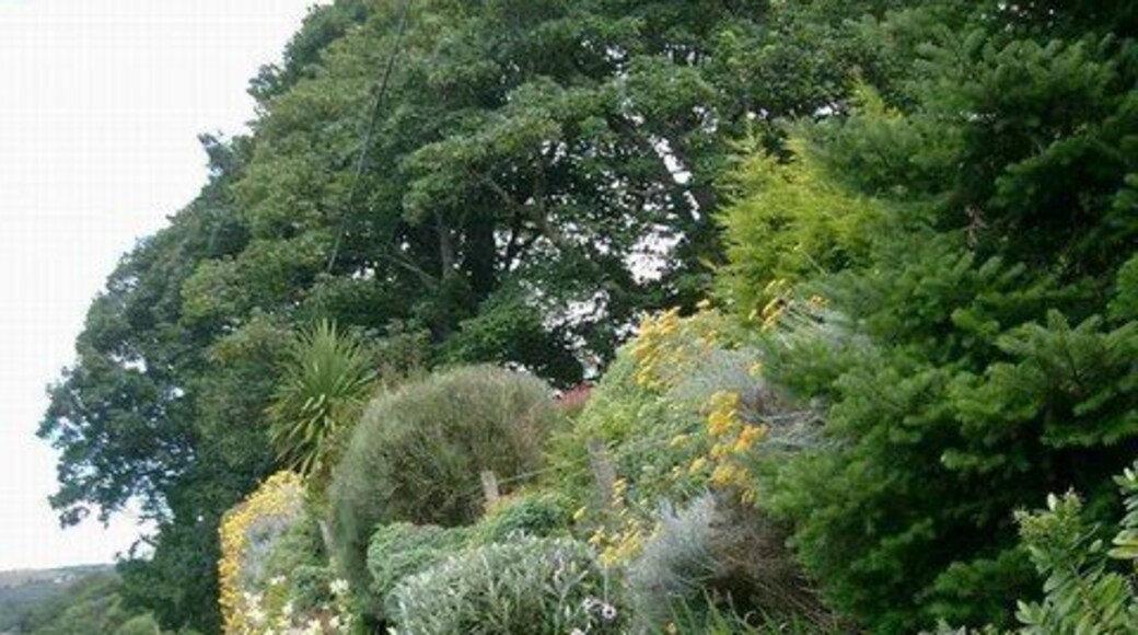 Roadside garden at Whitefarland.